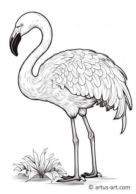 Página para colorir de Flamingo Atleta